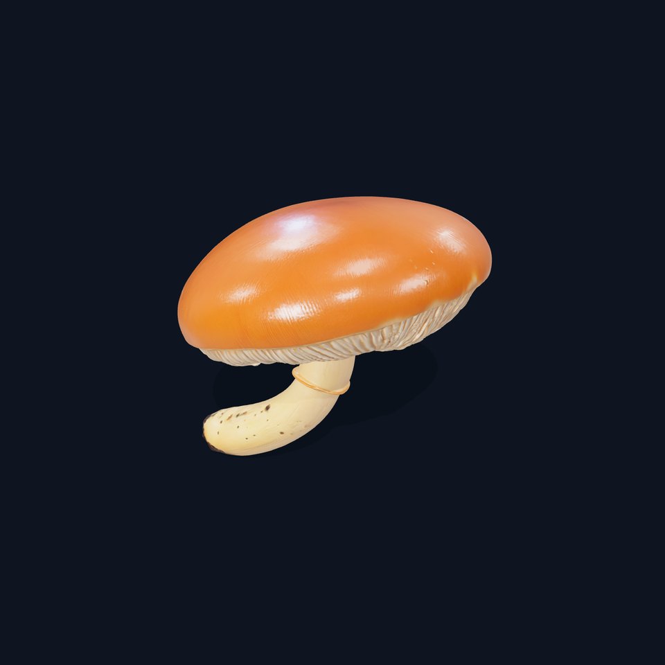 Realistic Mushroom Model Pack with LOD